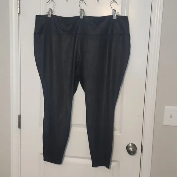 Terra and Sky Faux leather leggings size 3X - Picture 1 of 5